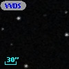 VVDS 220392922