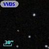 VVDS 220393264