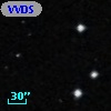 VVDS 220393292