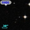 VVDS 220393323