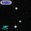 VVDS 220393440