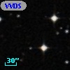 VVDS 220393904