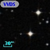 VVDS 220393915