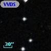 VVDS 220394341