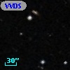 VVDS 220394803