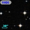 VVDS 220395185