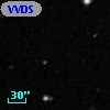 VVDS 220395862