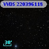 VVDS 220396118