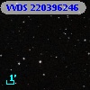 VVDS 220396246