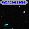 VVDS 220398603