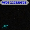 VVDS 220399508