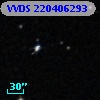 VVDS 220406293