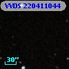VVDS 220411044