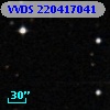 VVDS 220417041