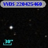 VVDS 220425460