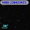 VVDS 220427872