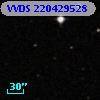 VVDS 220429528