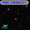 VVDS 220436172