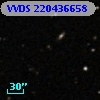 VVDS 220436658