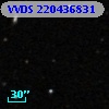 VVDS 220436831