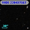 VVDS 220437567