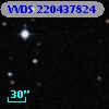 VVDS 220437824