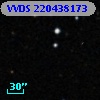 VVDS 220438173