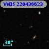 VVDS 220438823
