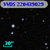 VVDS 220439029