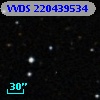VVDS 220439534