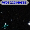 VVDS 220440665