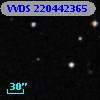 VVDS 220442365
