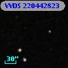 VVDS 220442823