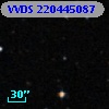 VVDS 220445087