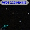 VVDS 220449442
