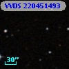 VVDS 220451493