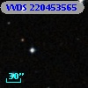 VVDS 220453565