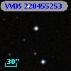 VVDS 220455253