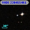 VVDS 220455481