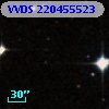 VVDS 220455523