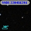 VVDS 220456291