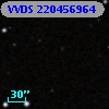 VVDS 220456964