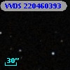 VVDS 220460393