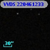 VVDS 220461233