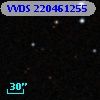 VVDS 220461255