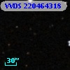 VVDS 220464318