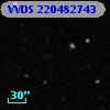 VVDS 220482743