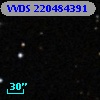 VVDS 220484391