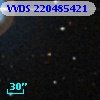 VVDS 220485421