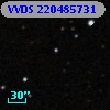 VVDS 220485731